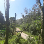 Tapiraí Sp - Sítio Santa Clara - Area de 12,1 ha - composto por casa principal, galpões poço artesiano, ótima área para plantios. Fica localizado a aproximadam. 1 quilômetro da prefeitura. Area preservação permanente- 4,6 ha - Area aproveitável - 4,6 ha - area utilizada rural - 2,5 ha -R$ 750.000,00