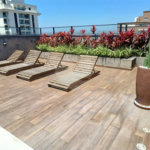Apartamento para alugar com 1 quarto em Santana, São Paulo, SP