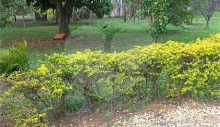 Sítio à venda com 4 quartos em Jardim Tangará, São Carlos, SP