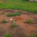 Terreno à venda em Mais Parque, Três Lagoas, MS