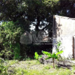 Terreno com 850,00 m²