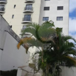 Apartamento 3 dorm, 1 suíte, 2 vagas no Belém