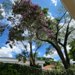 Lindo sobrado, possui 3 dormitórios, sendo 1 suíte master com sacada, banheira, e 4 vagas