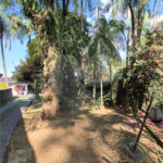 Casa com Piscina, Sauna e Edícula em Rua Arborizada no Tremembé