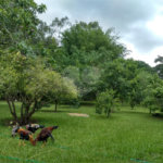 Chácara a venda no Residencial Planalto Serra Verde em Itirapina