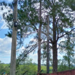 Chácara à venda na cidade de São Pedro - SP no bairro Vertentes das Águas - Refúgio Natural a 30 Minutos de Piracicaba - 5.000 m2