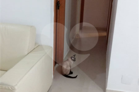 Project Home Vila Mariana 86 m² 3 Dormitórios 1 Suíte 2 Vagas de Garagem