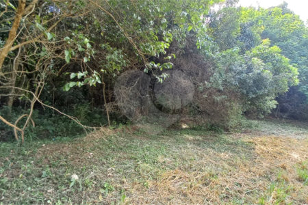 Terreno à Venda no Condomínio Santa Isabel 2 - Louveira/SP