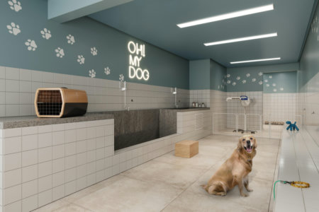 Soma Galeria
