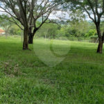 Sitio para venda.