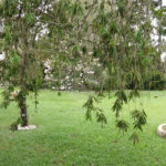Sitio para venda no bairro Chácara Leila (Varjão)