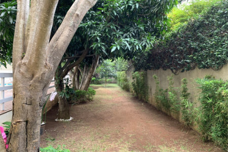 Apartamento à venda com 2 quartos, sendo 1 suíte,  em Jardim Aeroporto, São Paulo, SP