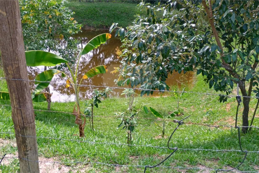 Chácara à venda na cidade de São Pedro - SP no bairro Vertentes das Águas - Refúgio Natural a 30 Minutos de Piracicaba - 5.000 m2