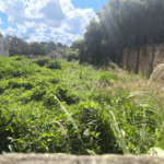 Terreno no Jardim Ricetti São Carlos - SP