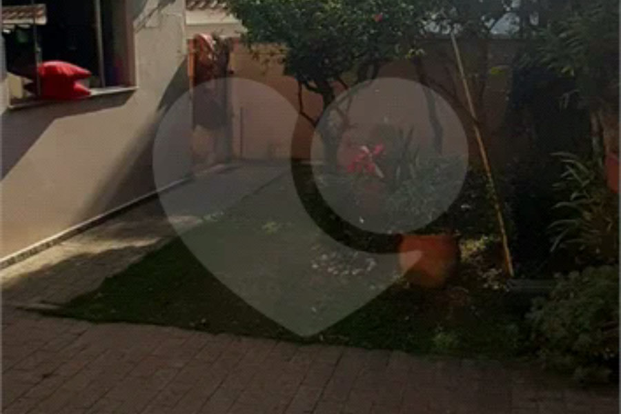 Imóvel localizado no jardim França/barro branco com 3 dorms, senddo 5 vagas