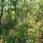 Terreno à venda no condomínio Alpes da Cantareira, Mairiporã - SP