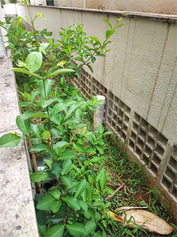 Apartamento Garden na Mooca com 322m² com 4 dormitórios 5 vagas Estuda Permuta