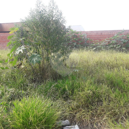 Vendo terreno no Parque Industrial em São Carlos com fácil acesso para a UFSCAR e USP Campus I