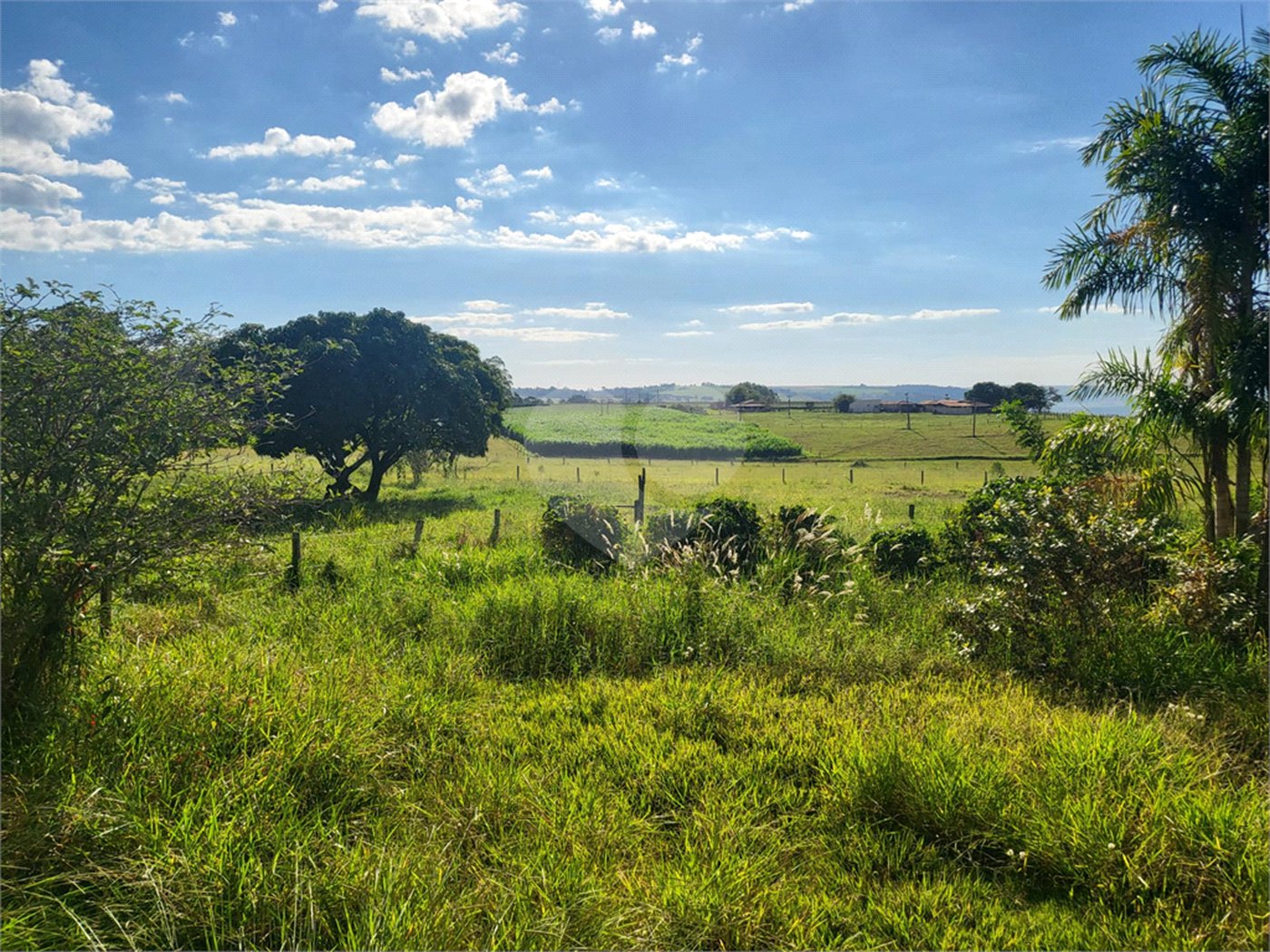 SÍTIO A VENDA - BELA VISTA