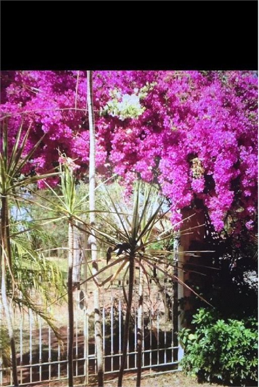 Casa Térrea no Condomínio Vila Pinhal Do Broa