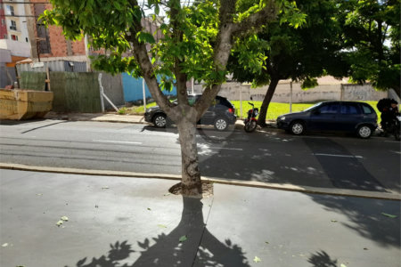 Imóvel Comercial na Rua Episcopal – Localização Estratégica em São Carlos