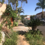 Terreno no Samambaia