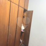 Casa com 110m², 3 quartos, garagem, à venda no bairro do Brás