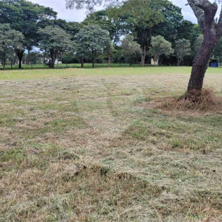 Loteamento Residencial no Condomínio Vila Pinhal do Broa.