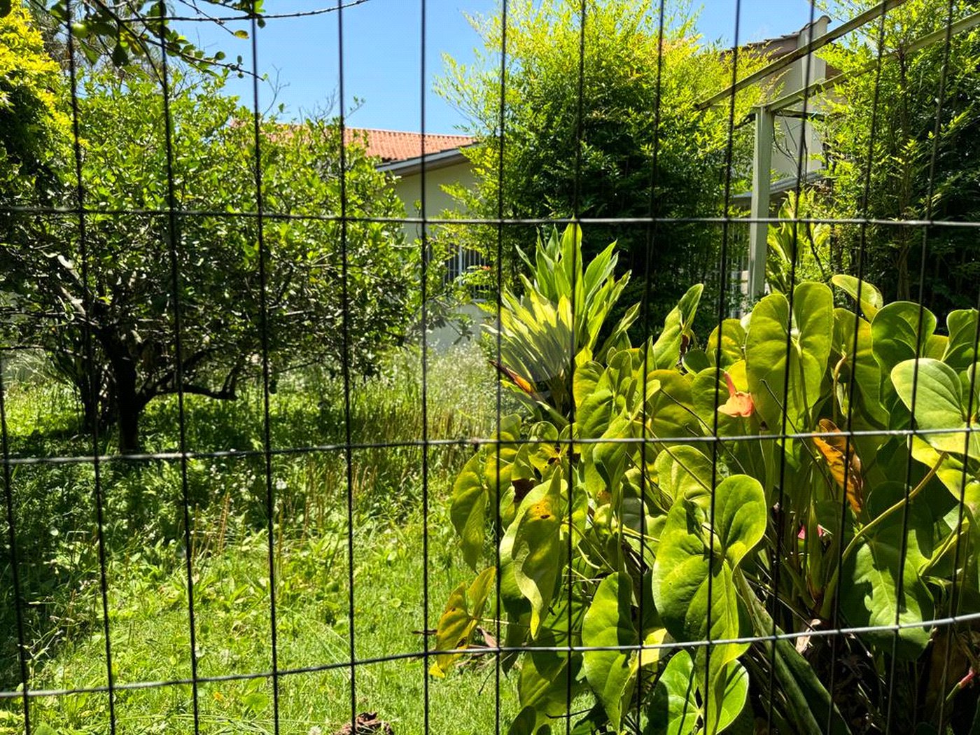 Terreno à venda com 1 quarto em Campo Grande, São Paulo, SP