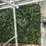 Espaço e Segurança no Bom Retiro: Apartamento de 100 m² com Infraestrutura Completa
