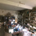Casa Térrea com 309m², 3 quartos, Garagem-Salão com 10 vagas, Ampla quintal, mais terreno atrás, à venda-Palmas do Tremembé-São Paulo/SP