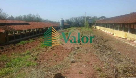 Chácara à venda com 3 quartos em Monjolinho, São Carlos, SP