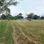 Loteamento Residencial no Condomínio Vila Pinhal do Broa