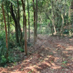TERRENO DE 500 M² EM ATIBAIA PRONTO PARA CONSTRUIR, AVALIA PERMUTA COM CARRO