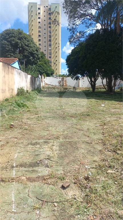 Terreno 784m² proximo à Santa Casa e a USP - Investimento