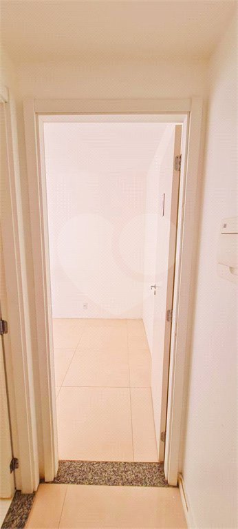 Apartamento - Cambuci - 2 quartos - 1 banheiro - sem vaga