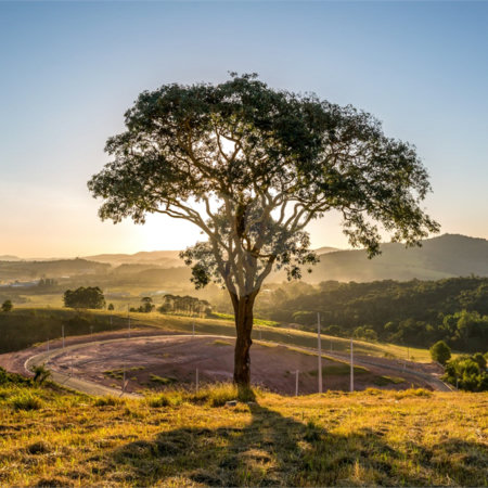 Terrenos a partir 300 metros em condomínio fechado e pronto para construir, aceita financiamento
