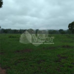 Área rural para venda no Varjão.