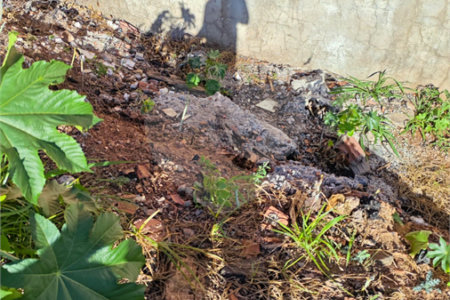 Terreno à Venda de 253 m² em Bairro em Desenvolvimento – Excelente Localização Próximo ao Comércio