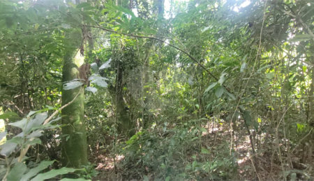 Terreno à venda em Mantiqueira, Mairiporã, SP