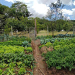 Excelente imóvel rural na cidade de Piedade/SP