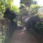 Casa Residencial ou Comercial no Centro