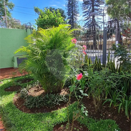 Casa com 3 Dormitórios no Campo Belo