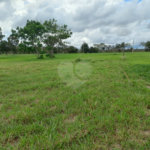 Loteamento Residencial no Condomínio Vila Pinhal do Broa