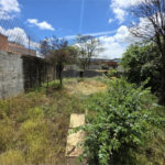 Casa térrea à venda com amplo quintal e grande potencial na Vila Nery