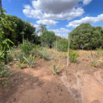 Excelente sitio para venda.