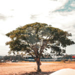 Terrenos Estratégicos – Avenida Getúlio Vargas | 9.262,02 m² (Potencial: 11.437,80 m²)
