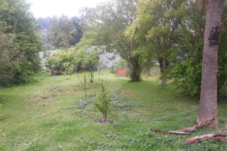 TERRENO PLANO COMERCIAL - 1.250 M2