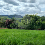 GLEBAS RURAIS EM PIRACAIA A PARTIR 20.000 M², EXCELENTE PARA CHÁCARAS E FAZENDINHAS