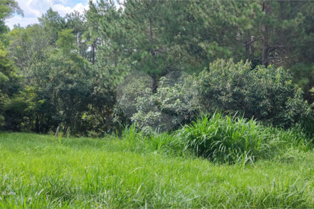 GLEBAS RURAIS EM PIRACAIA A PARTIR 20.000 M², EXCELENTE PARA CHÁCARAS E FAZENDINHAS